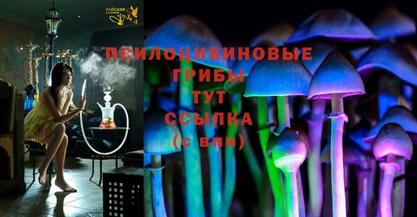 эйфоретик Алексин